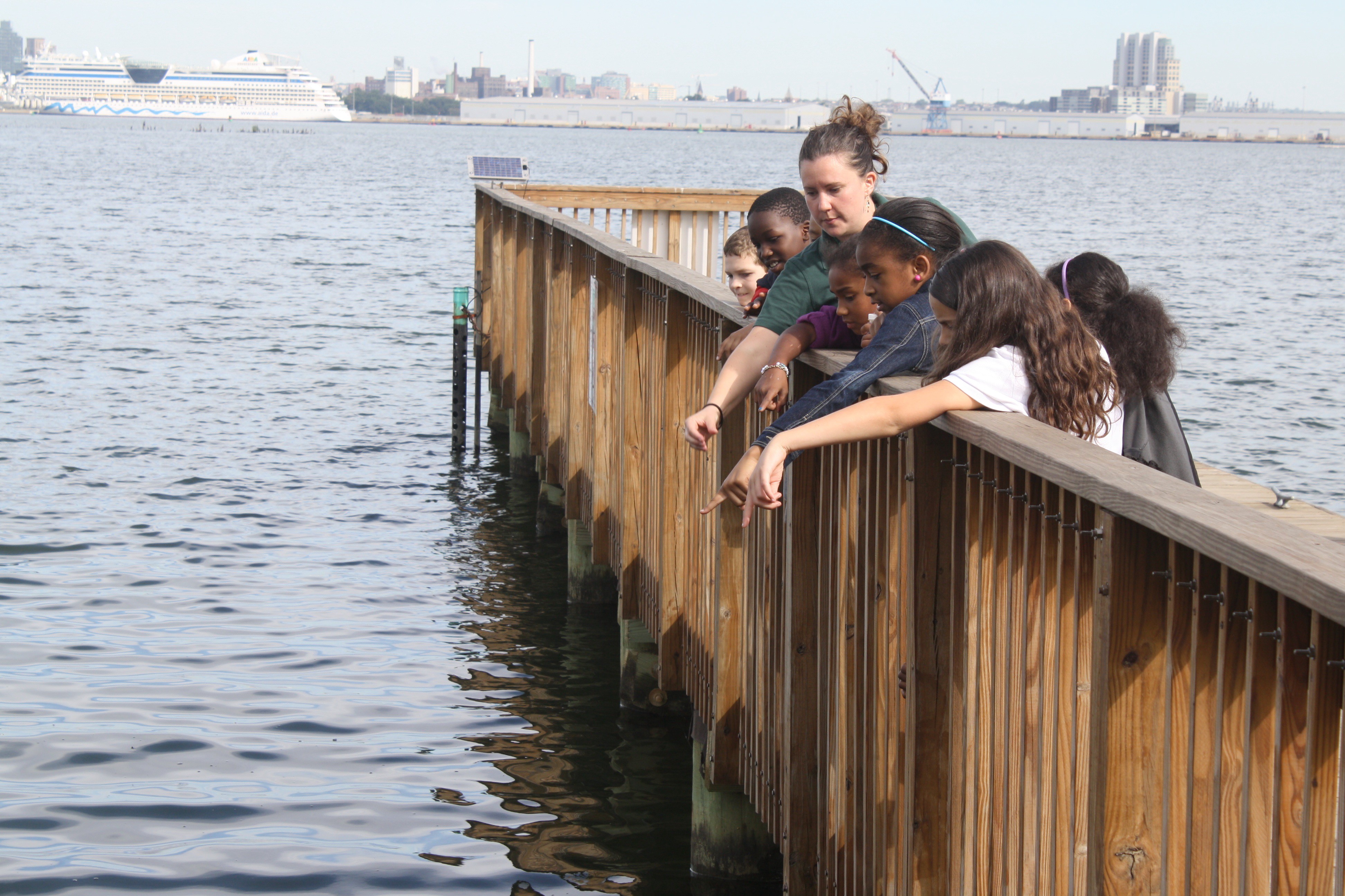 Celebrating the Urban Wildlife Conservation Program | Defenders of Wildlife